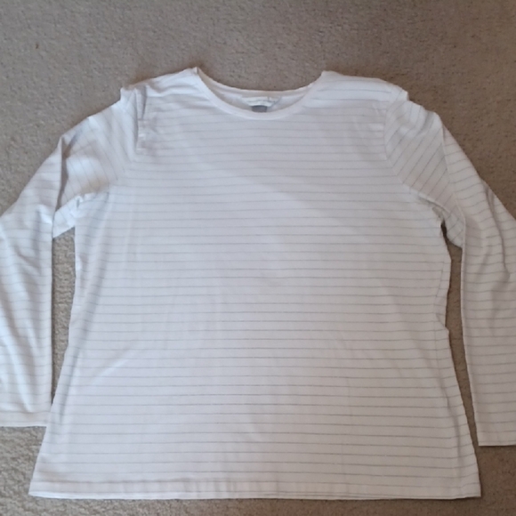 Christopher&Banks Long Sleeve, Silver Striped Tee - Picture 1 of 11